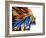 A Mind Painting Backdrop Image-agsandrew-Framed Photographic Print