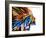 A Mind Painting Backdrop Image-agsandrew-Framed Photographic Print
