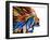 A Mind Painting Backdrop Image-agsandrew-Framed Photographic Print