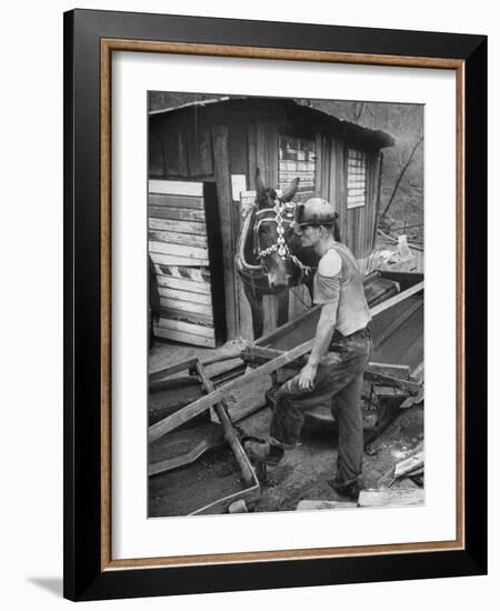 A Miner Standing with a Mule at the Rock House Coal Co. Mine-null-Framed Photographic Print