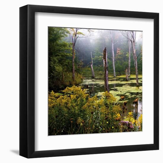 A Misty Morning I-Rick Schimidt-Framed Art Print