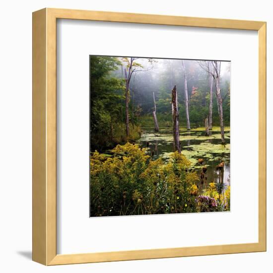 A Misty Morning I-Rick Schimidt-Framed Art Print