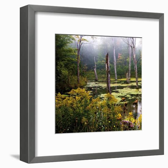 A Misty Morning I-Rick Schimidt-Framed Art Print