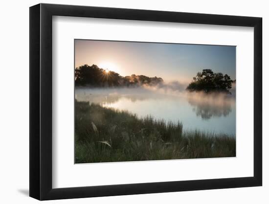 A Misty Sunrise over Pen Ponds in Richmond Park-Alex Saberi-Framed Photographic Print
