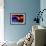 A Mixture of Colorful Stars, Planets, Nebulae and Galaxies-null-Framed Premium Giclee Print displayed on a wall