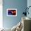 A Mixture of Colorful Stars, Planets, Nebulae and Galaxies-null-Framed Premium Giclee Print displayed on a wall