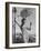 A Model Wearing a Swimsuit-null-Framed Photographic Print