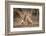 A Moment of Love-Mario Moreno-Framed Photographic Print