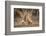 A Moment of Love-Mario Moreno-Framed Photographic Print