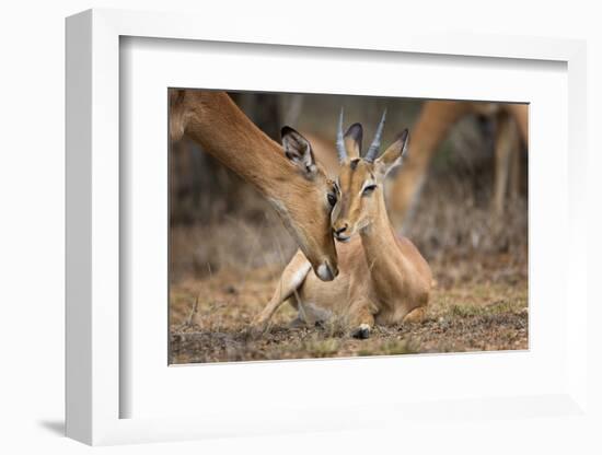 A Moment of Love-Mario Moreno-Framed Photographic Print