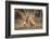 A Moment of Love-Mario Moreno-Framed Photographic Print