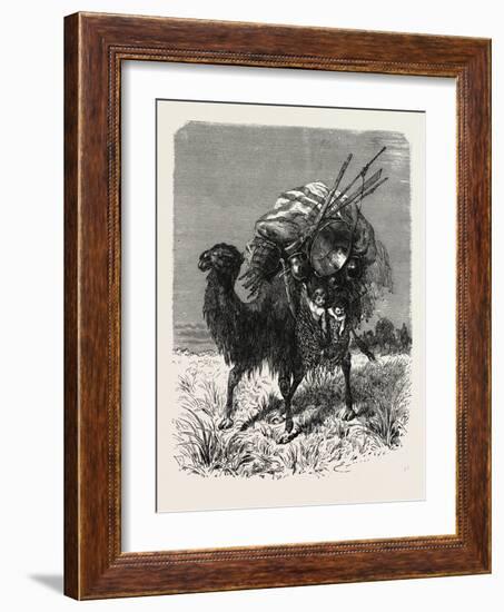 A Mongol Camel on the March-null-Framed Giclee Print