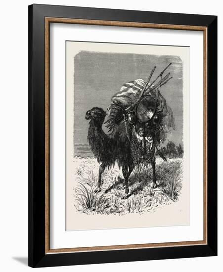 A Mongol Camel on the March-null-Framed Giclee Print