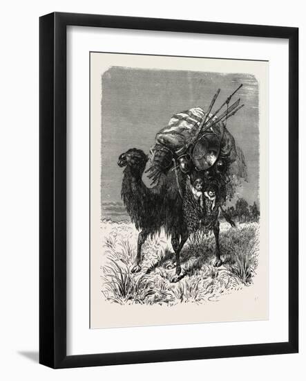 A Mongol Camel on the March-null-Framed Giclee Print