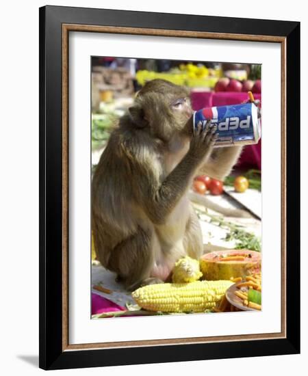 A Monkey Drinks Cola-null-Framed Photographic Print