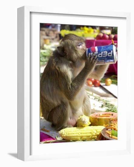 A Monkey Drinks Cola-null-Framed Photographic Print