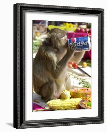 A Monkey Drinks Cola-null-Framed Photographic Print