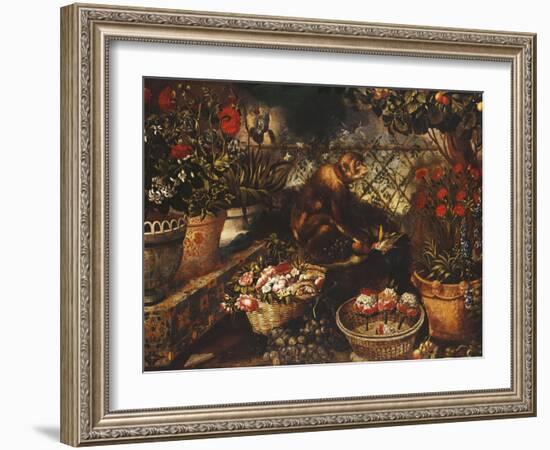 A Monkey in a Fenced Garden-Thomas Hiepes-Framed Giclee Print