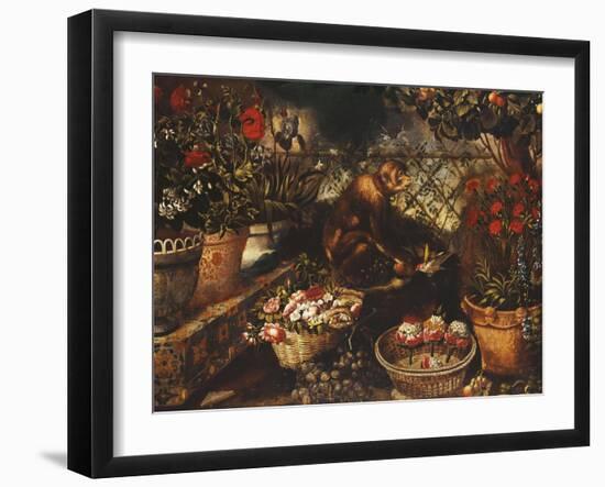 A Monkey in a Fenced Garden-Thomas Hiepes-Framed Giclee Print