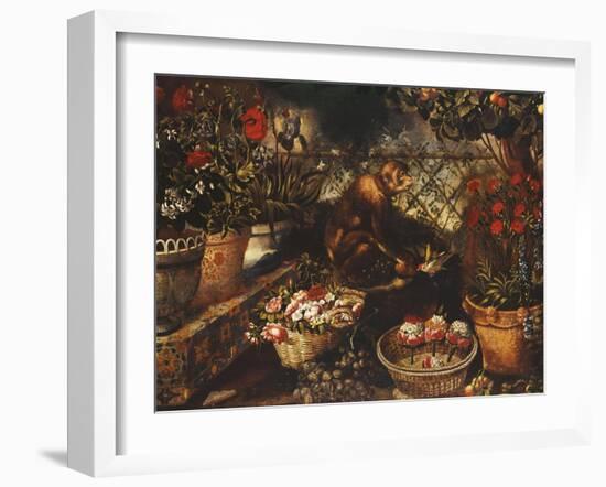 A Monkey in a Fenced Garden-Thomas Hiepes-Framed Giclee Print