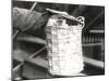 A Monkey in a Hamper at Zsl London Zoo, December 1922-Frederick William Bond-Mounted Photographic Print