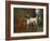 A Monkey Wearing Crimson Livery Dancing with a Poodle on the Terrace of a Country House-John Wootton-Framed Giclee Print