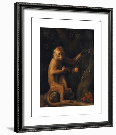 A Monkey-George Stubbs-Framed Premium Giclee Print