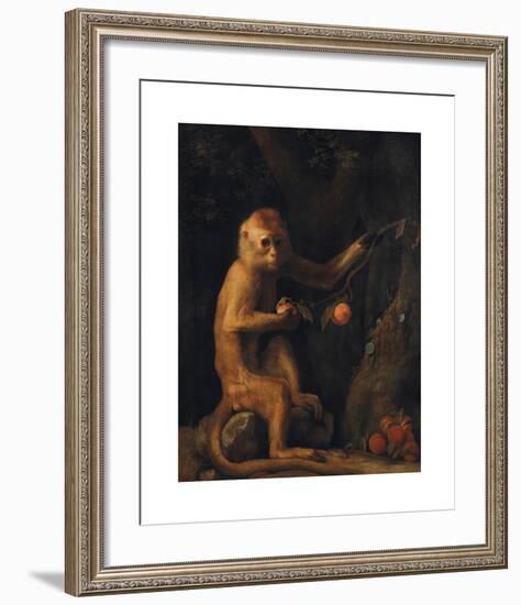 A Monkey-George Stubbs-Framed Premium Giclee Print