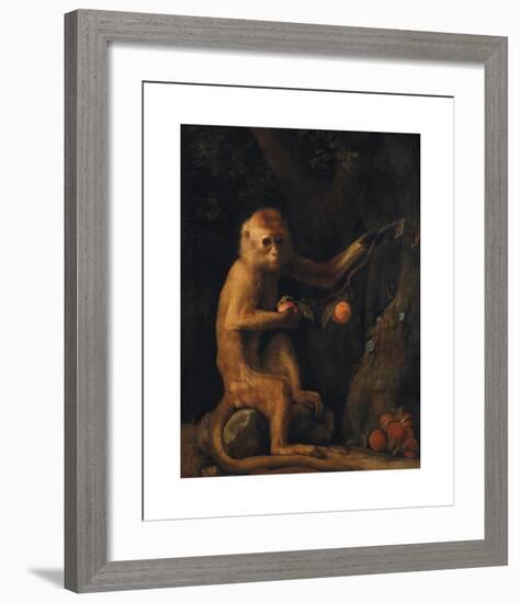 A Monkey-George Stubbs-Framed Premium Giclee Print