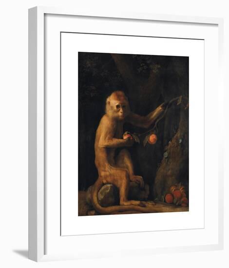 A Monkey-George Stubbs-Framed Premium Giclee Print