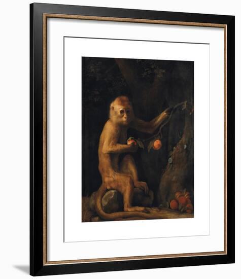 A Monkey-George Stubbs-Framed Premium Giclee Print