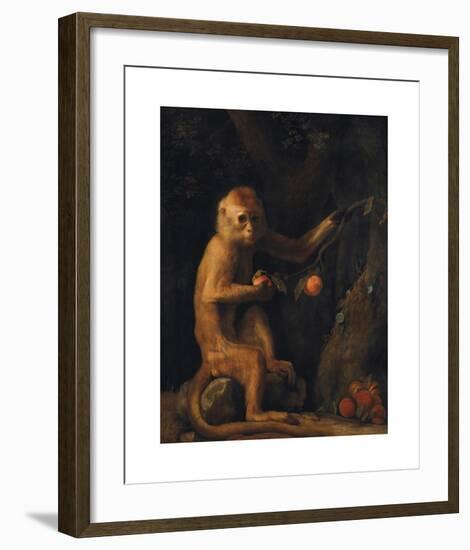 A Monkey-George Stubbs-Framed Premium Giclee Print