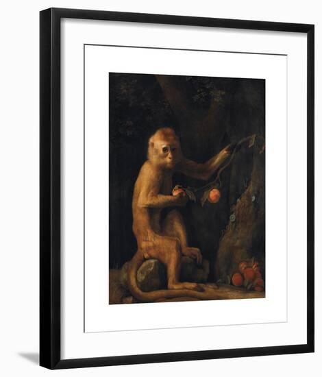 A Monkey-George Stubbs-Framed Premium Giclee Print