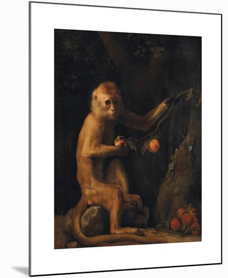 A Monkey-George Stubbs-Mounted Premium Giclee Print