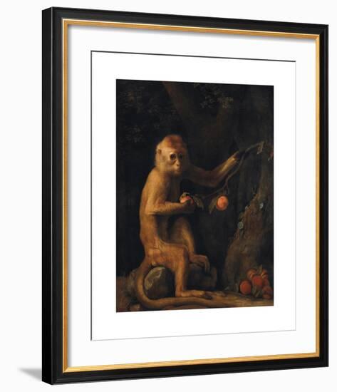 A Monkey-George Stubbs-Framed Premium Giclee Print