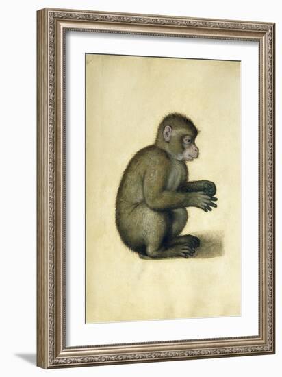 A Monkey-Albrecht Dürer-Framed Giclee Print