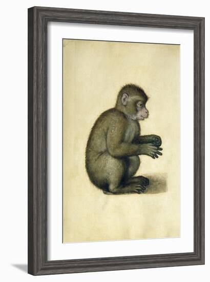 A Monkey-Albrecht Dürer-Framed Giclee Print