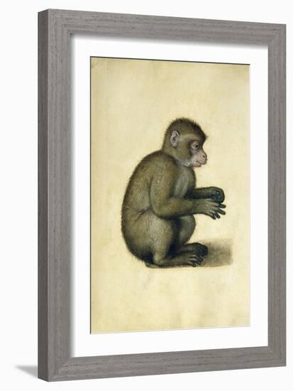 A Monkey-Albrecht Dürer-Framed Giclee Print