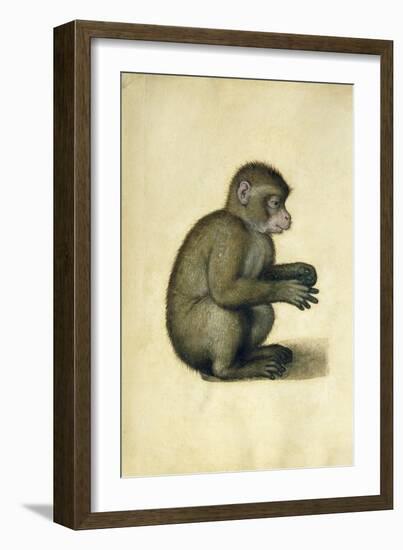 A Monkey-Albrecht Dürer-Framed Giclee Print