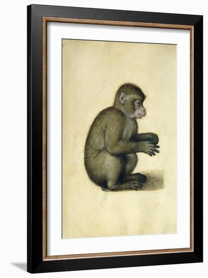 A Monkey-Albrecht Dürer-Framed Giclee Print