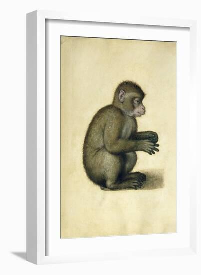 A Monkey-Albrecht Dürer-Framed Giclee Print