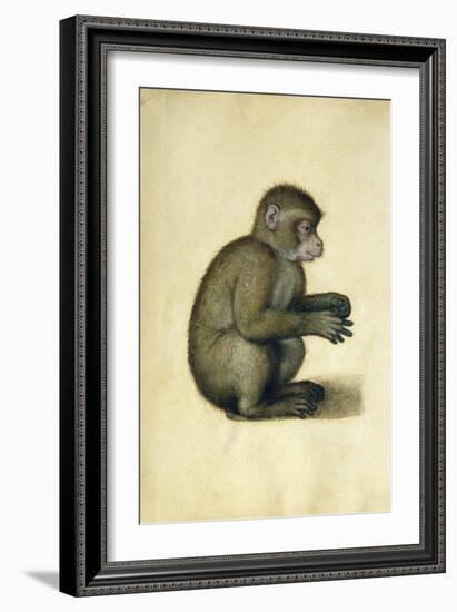 A Monkey-Albrecht Dürer-Framed Giclee Print