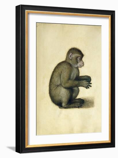 A Monkey-Albrecht Dürer-Framed Giclee Print