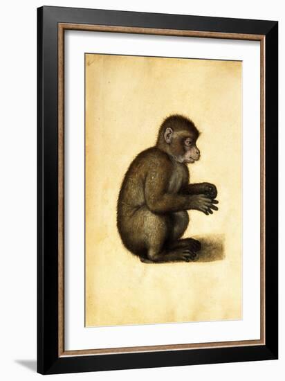 A Monkey-Albrecht Dürer-Framed Giclee Print