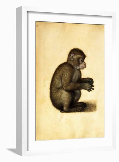 A Monkey-Albrecht Dürer-Framed Giclee Print