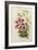 A Monograph of the Genus Lilium, Late 19th Century-Henry John Elwes-Framed Giclee Print