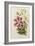 A Monograph of the Genus Lilium, Late 19th Century-Henry John Elwes-Framed Giclee Print