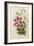 A Monograph of the Genus Lilium, Late 19th Century-Henry John Elwes-Framed Giclee Print