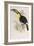 A Monograph of the Ramphastidae or Family of Toucans, 1834-John Gould-Framed Giclee Print