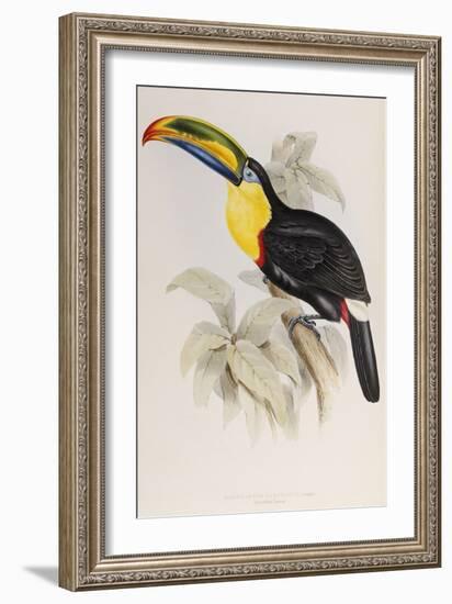 A Monograph of the Ramphastidae or Family of Toucans, 1834-John Gould-Framed Giclee Print